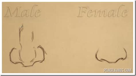 How To Draw Female Nose