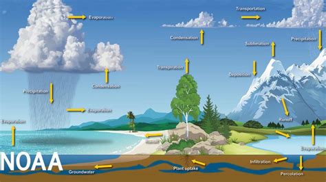 Here's How the Climate Crisis Is Impacting the Water Cycle | HowStuffWorks