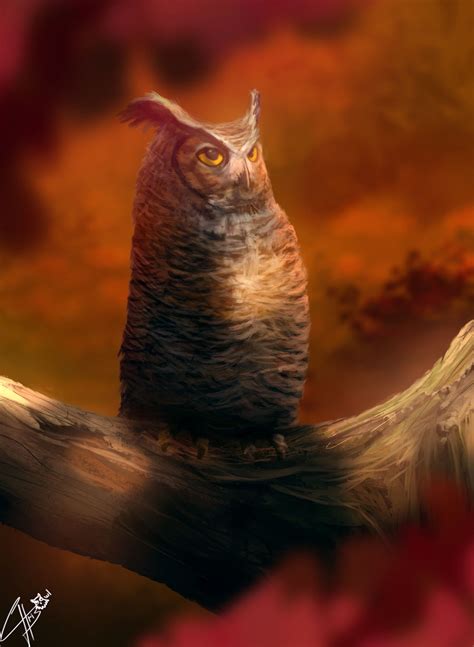 Autumn Owl by Chris-Owl on DeviantArt