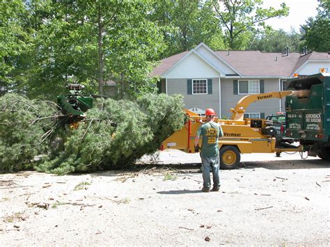 Residential Tree Services Including Residential Tree Removal & More In Upstate NY & The Adirondacks