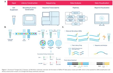 9 - Understand specificies of differential gene expression in single-cell RNAseq