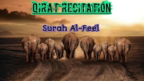 Surah Al-Feel|Qirat recitation|By Muhammed Hasil - YouTube