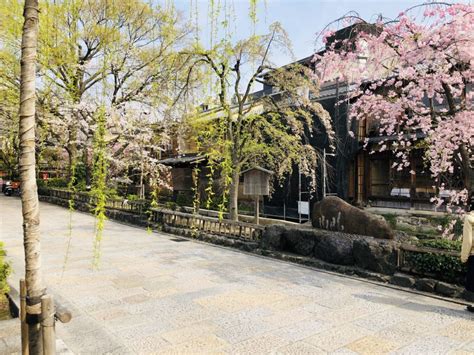 Gion Kyoto Geisha District: The Ultimate Guide