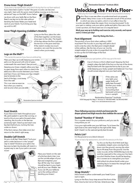 Pelvic Floor Handout | Pelvis | Hip