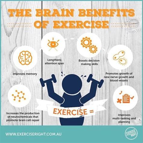 Brain Benefits of Exercise - Sydney Sports and Exercise Physiology