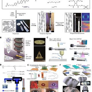 Synthesis and alignment methods of LCEs. (A) Two-stage thiol-acrylate ...