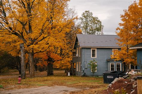 Fall Foliage NC's Guide: Best Spots & Timing 2024