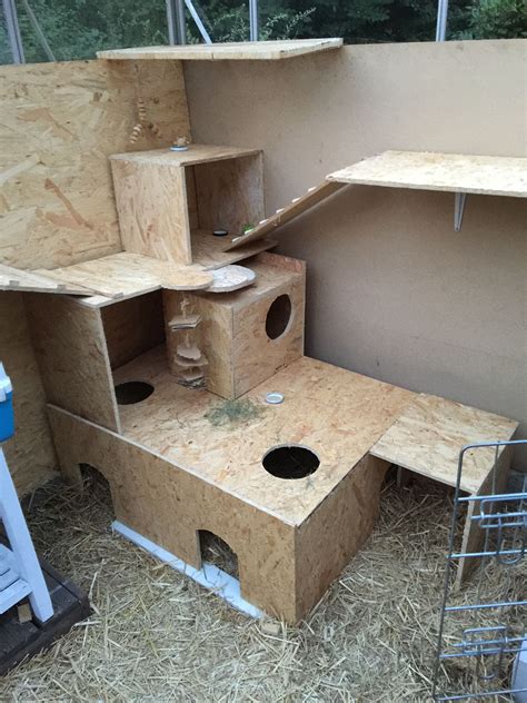 This is the new rabbit play area. Still working on it. | Kæledyr, Kaninbur, Kaniner