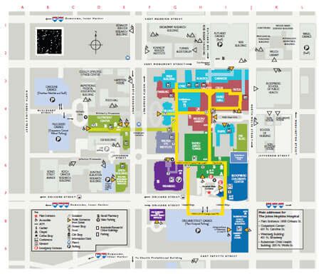 Johns Hopkins Hospital Campus Map – Map Vector