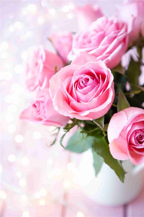 Pink rose wallpaper in hd for mobile #pinkrose #rose #wallpaper | Beautiful pink roses, Pink ...