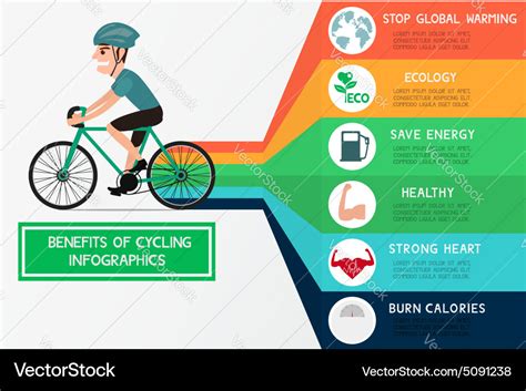 Benefits of cycling infographics Royalty Free Vector Image