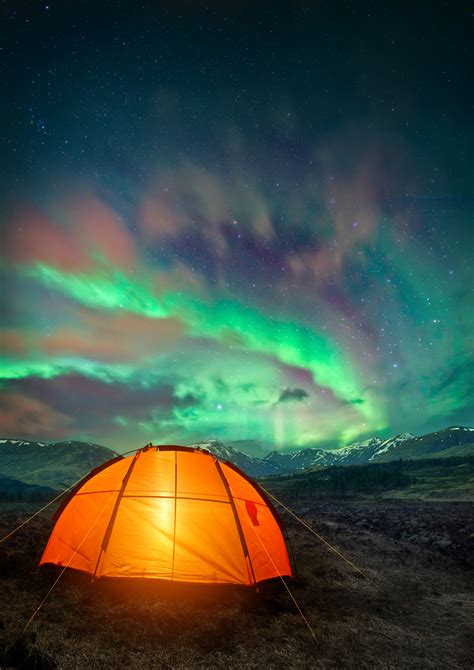 How to See the Northern Lights in Denali National Park - Denali Totem ...