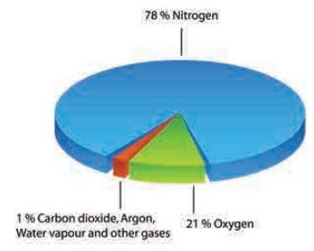 Composition of Air - Air | Term 2 Unit 4 | 6th Science