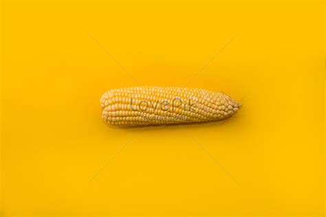 Yellow Corn On The Yellow Background Picture And HD Photos | Free Download On Lovepik