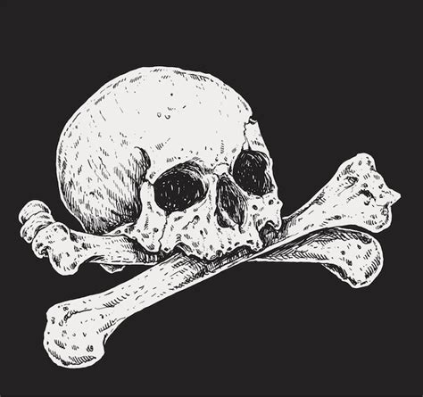 Premium Vector | Skull and crossbones realistic drawing illustration