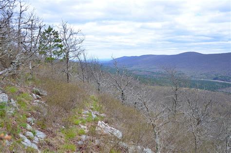 Black Fork Mountain Trail (Ouachita Forest) – 11 mi (o&b) | Arklahoma Hiker