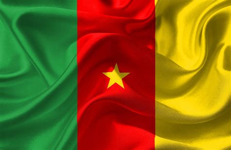 Le drapeau du Cameroun : le symbole d'une nation unie | Newstories Africa