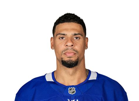 Ryan Reaves Stats, News, Videos, Highlights, Pictures, Bio - Vegas ...