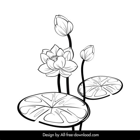 Lotus Flower Clipart Black White | Best Flower Site