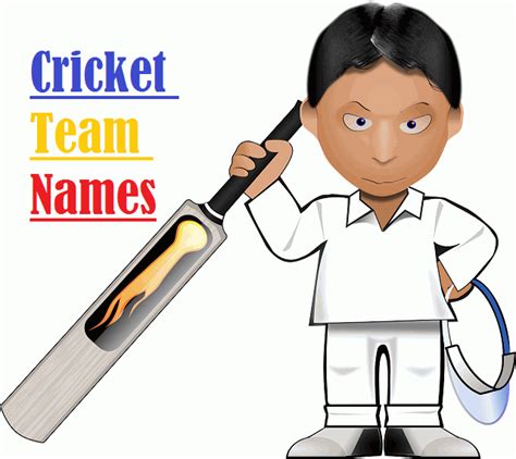 Cricket Team Names 2024