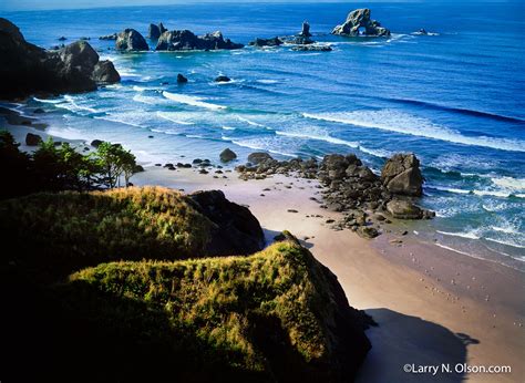 Ecola Point #3, Ecola State Park, OR - Larry N. Olson Photography