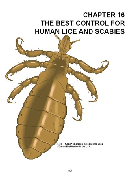 16 Lice & Scabies | Wellness | Nature