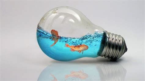 Water Splash in Bulb |Photoshop Photo Manipulation Tutorial | Photo ...