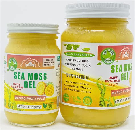 Organic Sea Moss Gel (16 OZ) Mango Pineapple Sea Moss Gel - Wildcrafted ...