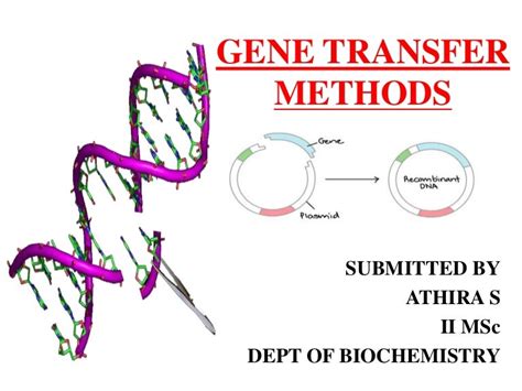 Gene transfer methods