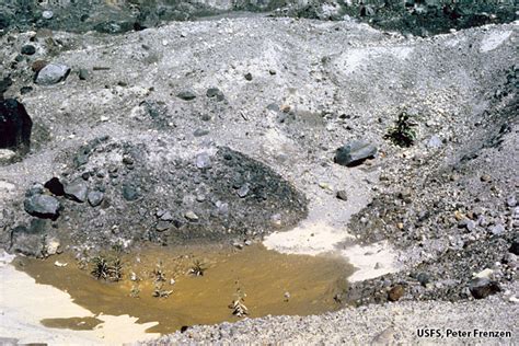 Image Gallery: Debris Avalanche | Mount St. Helens Science and Learning ...