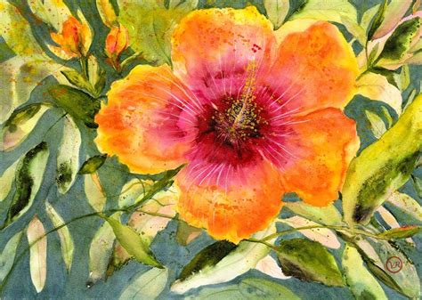 Hibiscus Watercolor