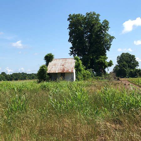 Cane River National Heritage Trail (Natchitoches) - 2019 All You Need to Know BEFORE You Go ...