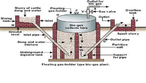 anaerobic digester | Biogas digester, Biogas, Renewable energy systems