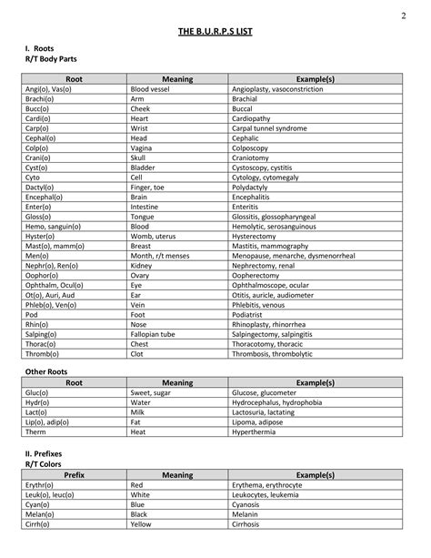 Nursing Jargon - 7+ Examples, Format, Pdf