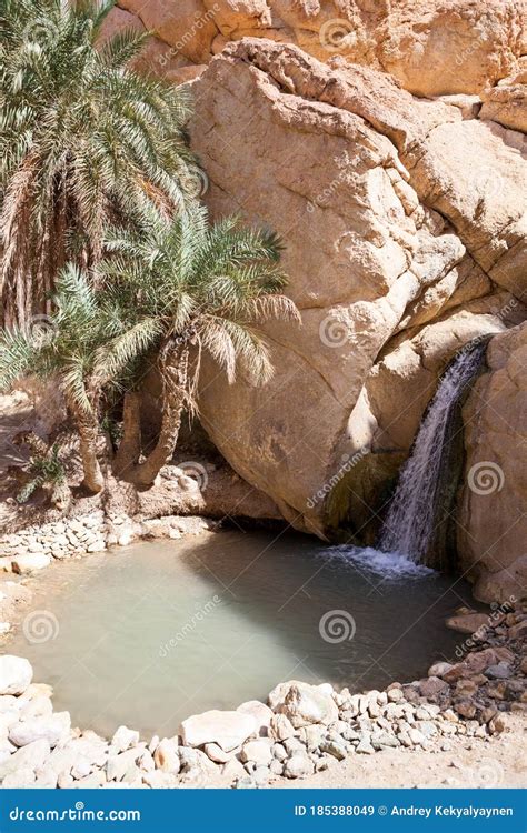 Waterfall in Oasis of the Chebika, a Mirage in the Sahara Desert Stock Image - Image of green ...