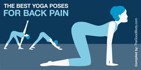 Seated Yoga Poses For Back Pain | Cabinets Matttroy