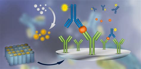 酶联免疫吸附试验|ELISA检测方法|ELISA原理及步骤-Molecular Devices官网