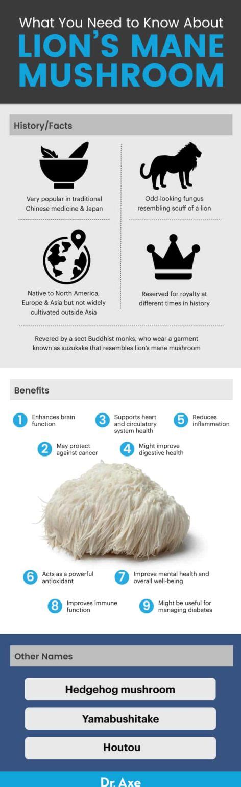 Lion's Mane Mushroom Benefits, Uses, Recipes and Side Effects - Dr. Axe