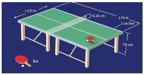 Berapa Panjang Lapangan Tenis Meja - Homecare24