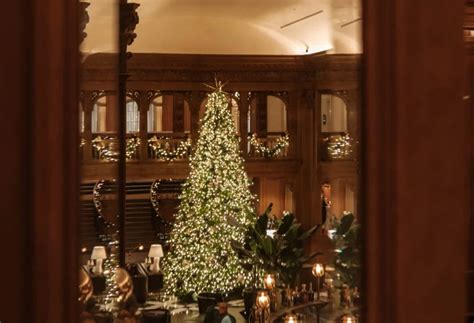 5 Stunning Seattle Christmas Trees To View This Holiday Season