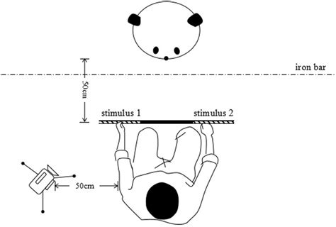 Overhead sketch of the experimental setup (see text for details). This... | Download Scientific ...