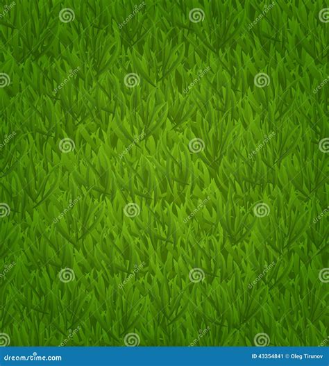 Green Grass Field, Herb Texture Stock Vector - Illustration of herbal, element: 43354841