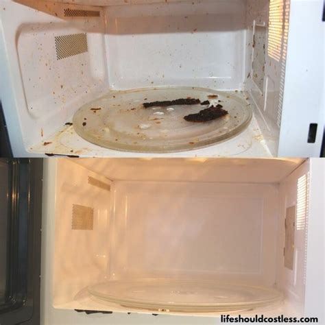 How To Clean Your Microwave With Vinegar (video) - Life Should Cost Less