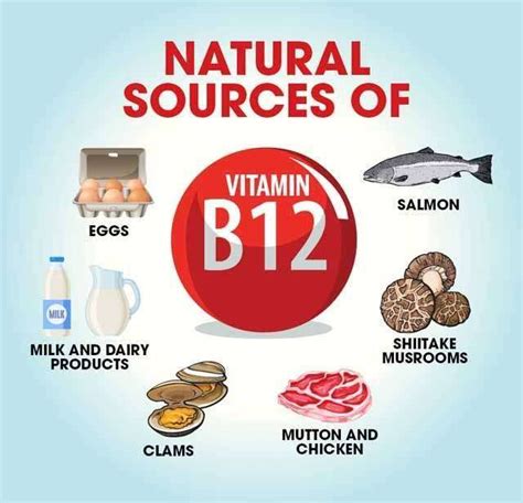 The Importance and Best Sources of Vitamin B12 - CKS Hospitals