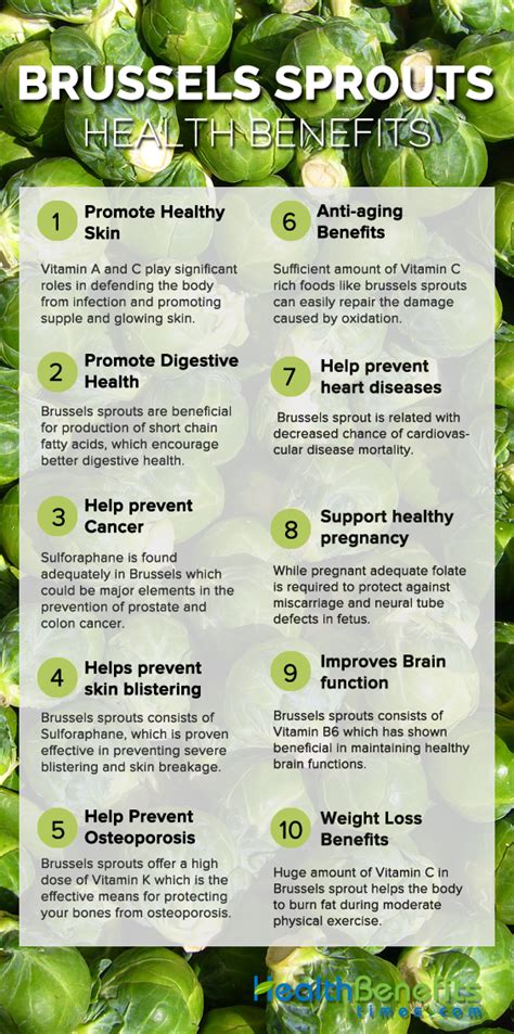 Brussels sprout Facts, Health Benefits and Nutritional Value