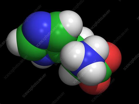 Histidine amino acid - Stock Image - A611/0030 - Science Photo Library