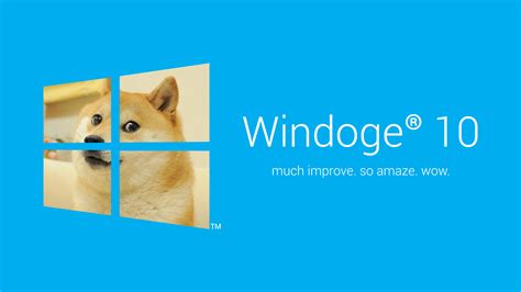 an image of a dog looking out the windows 10 logo on a blue background ...