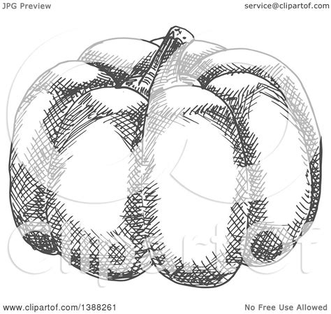 Clipart of a Sketched Gray Pumpkin - Royalty Free Vector Illustration by Vector Tradition SM ...