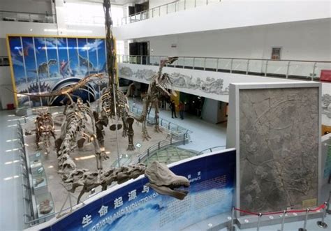 China University of Geosciences Museum (Wuhan) - 2021 All You Need to Know BEFORE You Go (with ...