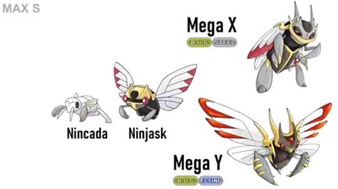 Nincada evolution in 2022 | Pikachu art, Pokemon, Pokemon pictures